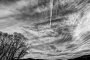 Stromy a oblaka 03